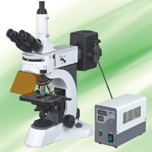 CN-N-800F Fluorescence Microscope