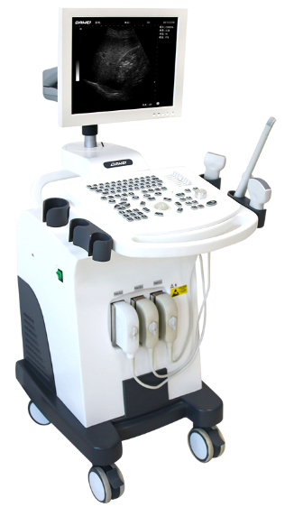 CN-370PC Full Digital Ultrasound Scanner 