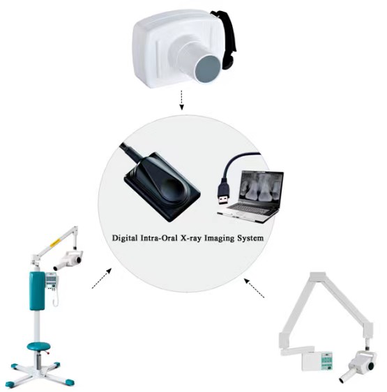 Digital Dental X ray System