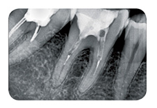 1630134556122498.png 图片10.png