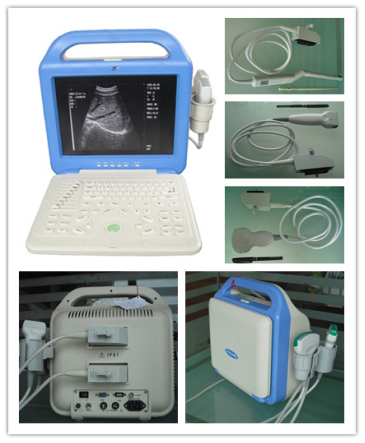 1630308108563900.png ~1CKTEX$95N~DH2%~JQXYEB.png