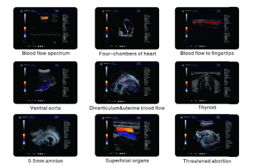 1630740122541914.png 3G3QBQDHH(6TQ)T}N{ZVC%X.png